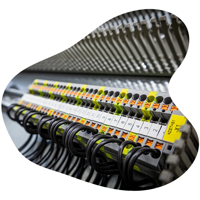 Elektro Holthaus Lohne