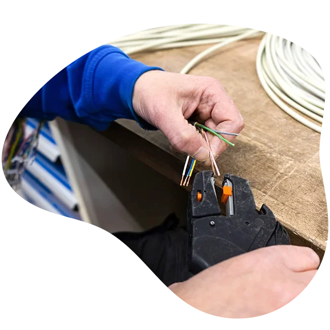 Elektro Holthaus Lohne